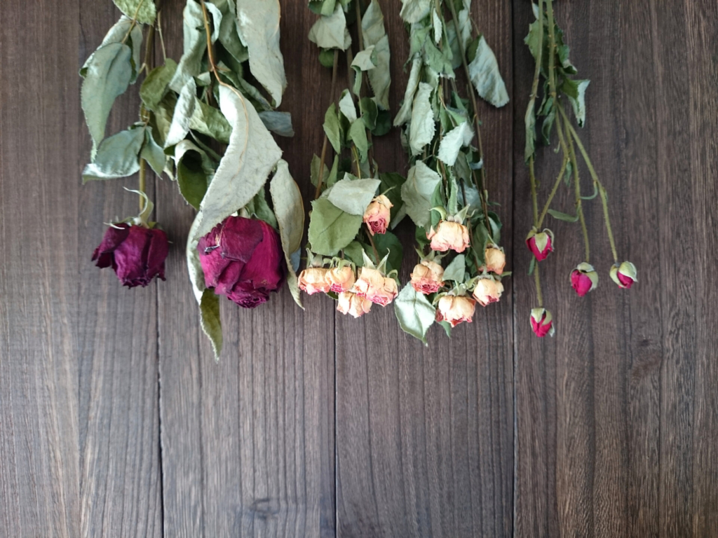 花屋が伝えたいバラのドライフラワーの簡単で黒ずまない作り方 | GANON FLORIST-ガノンフローリスト【札幌円山の花屋・おしゃれなギフトフラワー 通販】